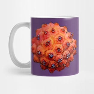 Orange Tree Seed Mug